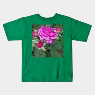 Pink roses photograph Kids T-Shirt